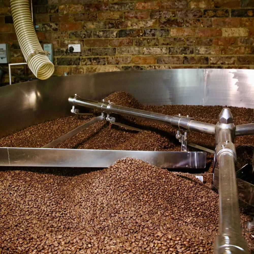 Understanding Coffee Roast Levels: Discover Your Perfect Roast