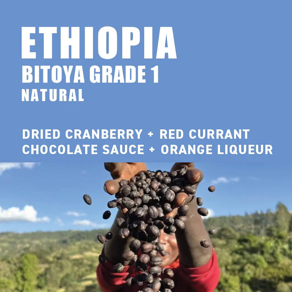 
                  
                    Ethiopia Bitoya Wood Roasted Specialty Coffee
                  
                