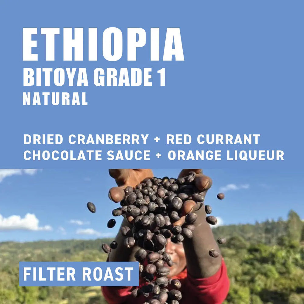 Ethiopia Wood Roasted Specialty Coffee