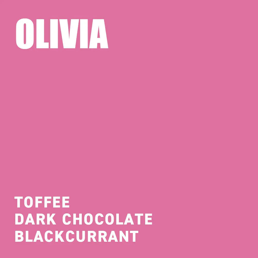 
                  
                    Olivia Blend Tasting Notes The Wood Roaster Coffee
                  
                