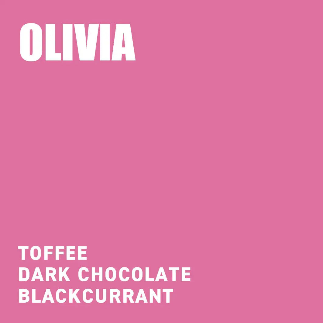 
                  
                    Olivia Blend Tasting Notes The Wood Roaster Coffee
                  
                