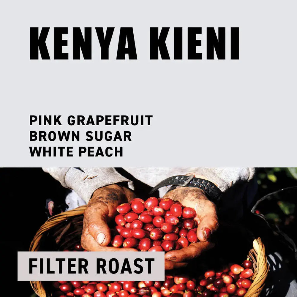 Kenya Kieni | Filter Roast The Wood Roaster