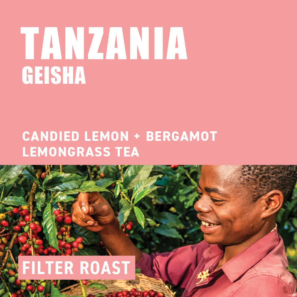 Tanzania Geisha Wood Roasted Speciality Coffee