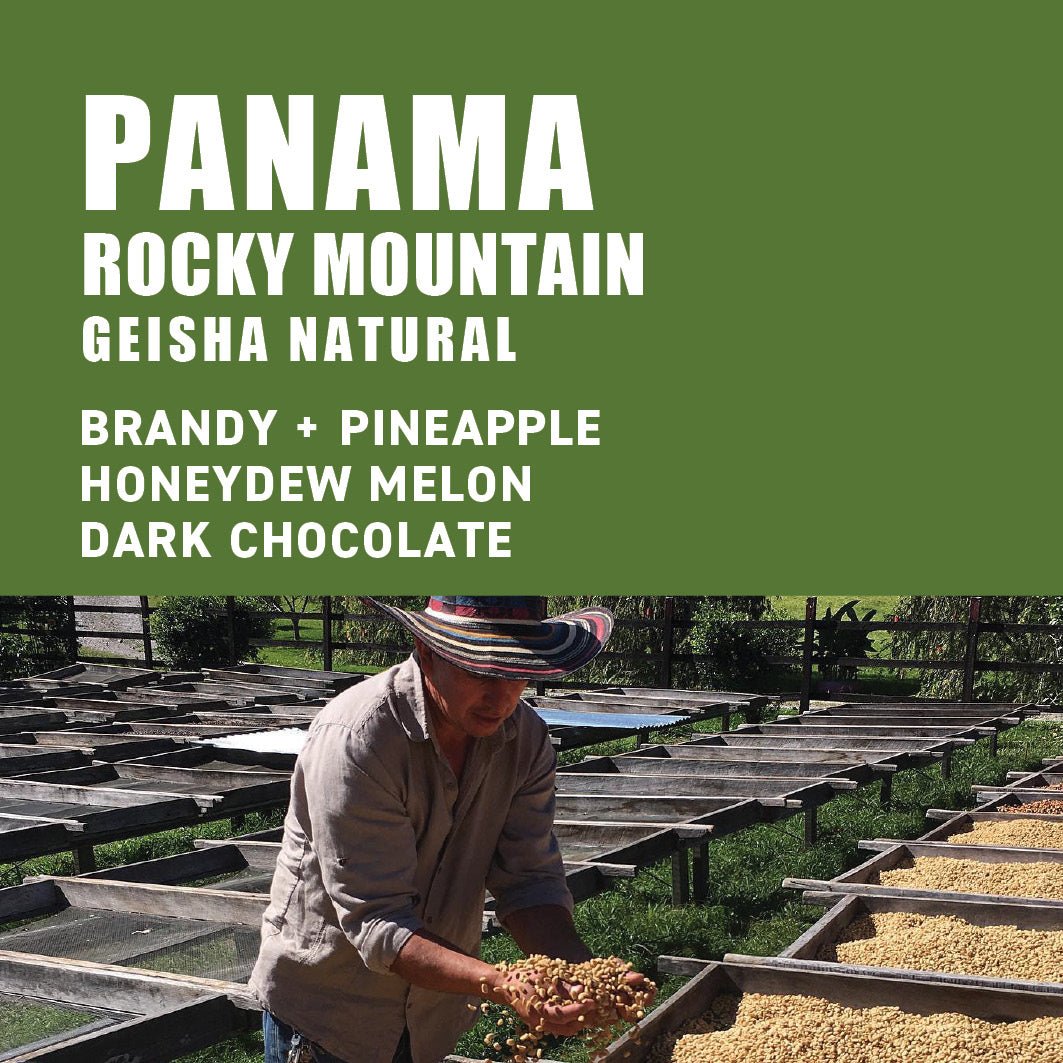 Clearance Sale: Panama Rocky Mountain Geisha Natural - The Wood Roaster